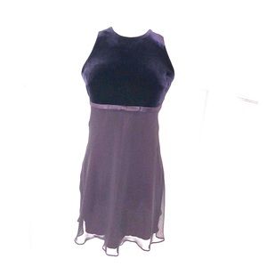 Shelli Segal Plum Sleeveless Cocktail Dress 2P